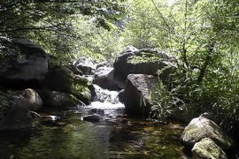 龍峪灣國家森林公園